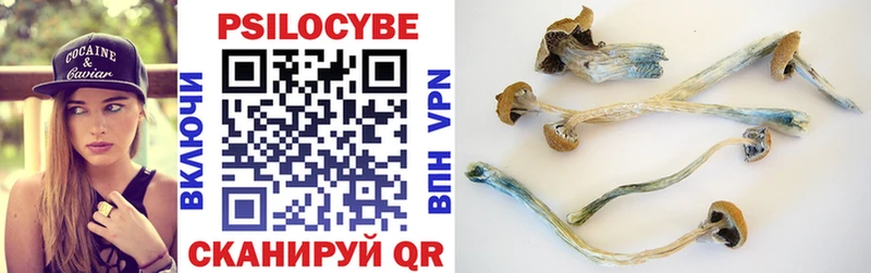 Псилоцибиновые грибы мухоморы  Купить закладки  Карабаново 